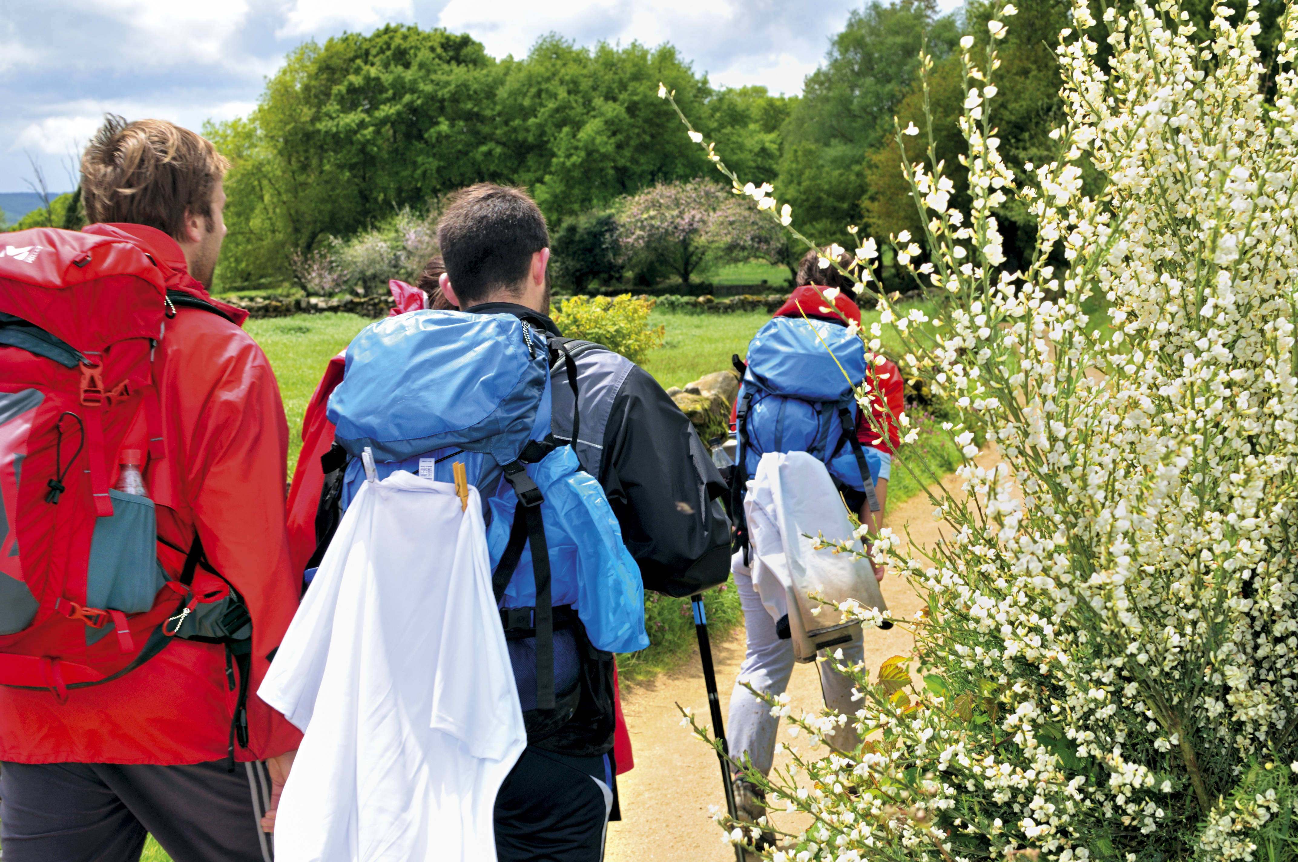 Junge Erwachsene wandern