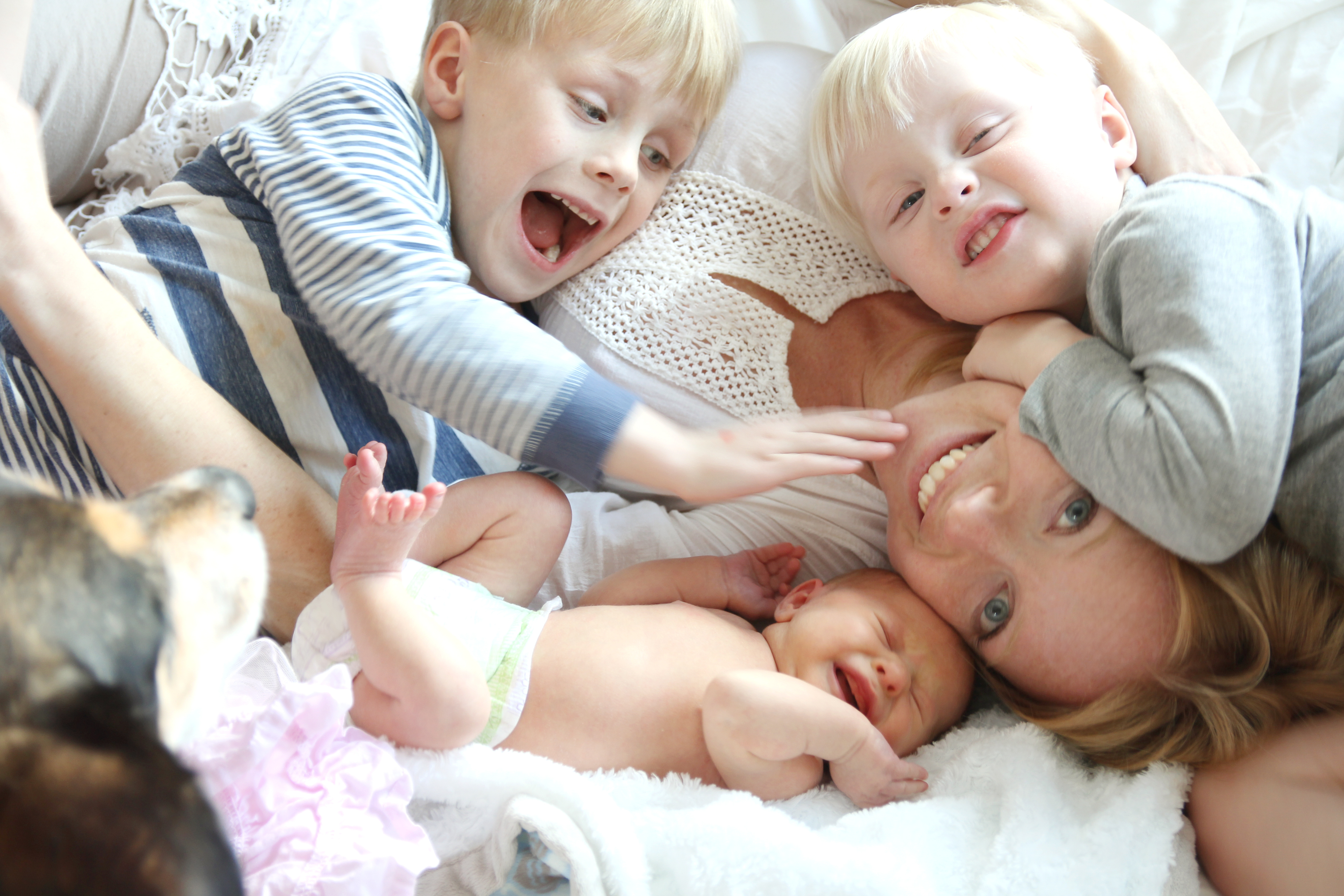 © Christin Lola | shutterstock | 1000plus
