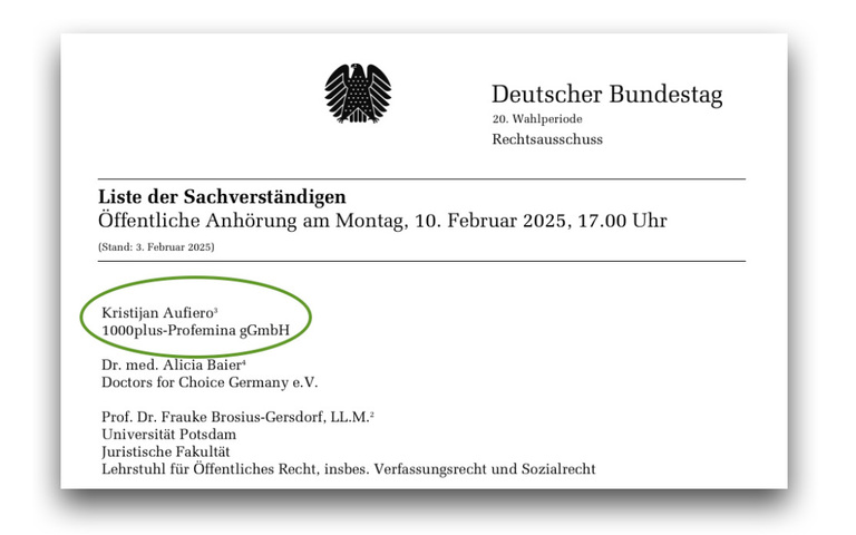 bundestag news3.jpg