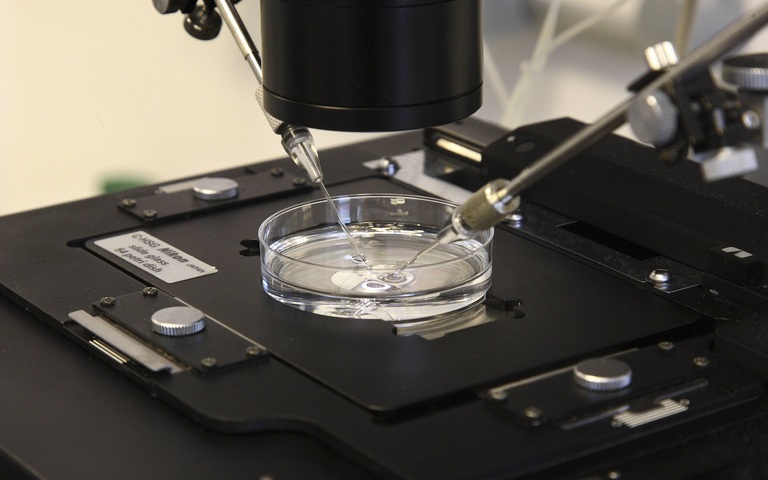 IVF-Labor