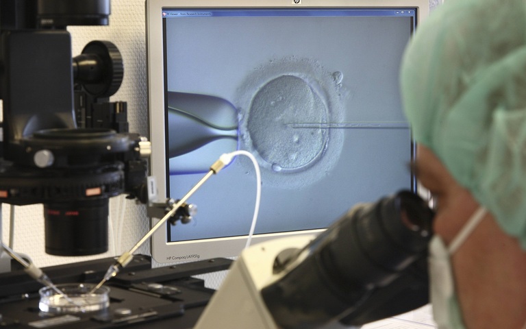 IVF-Labor