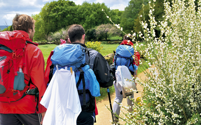 Junge Erwachsene wandern