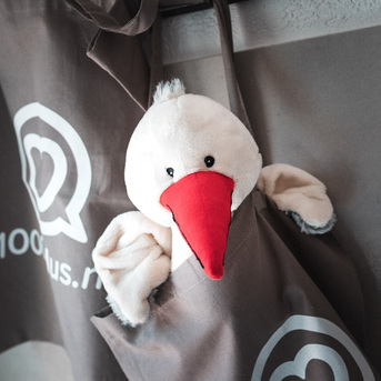 Storch Shop